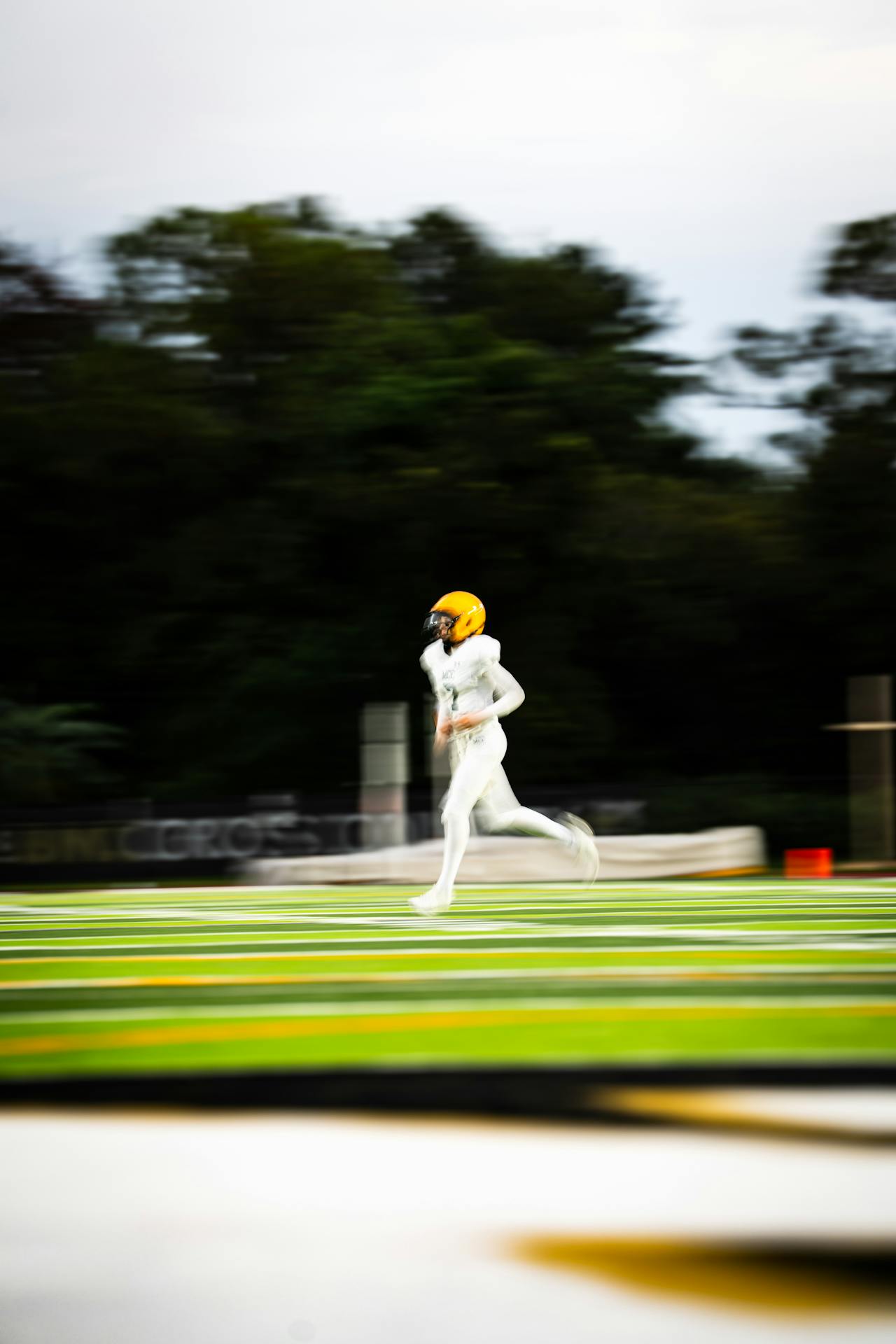 Лайв ставки